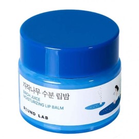 Moisture Moisture Co-developed by Kyungha Round Lab Birch Moisture Lip Balm 20g / 수분촉촉민경하 공동개발 라운드랩 자작나무 수분 립밤 20g