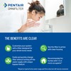 Pentair OMNIFilter Whole Home Valve-in-Head 10" Standard Duty Water Filtration
