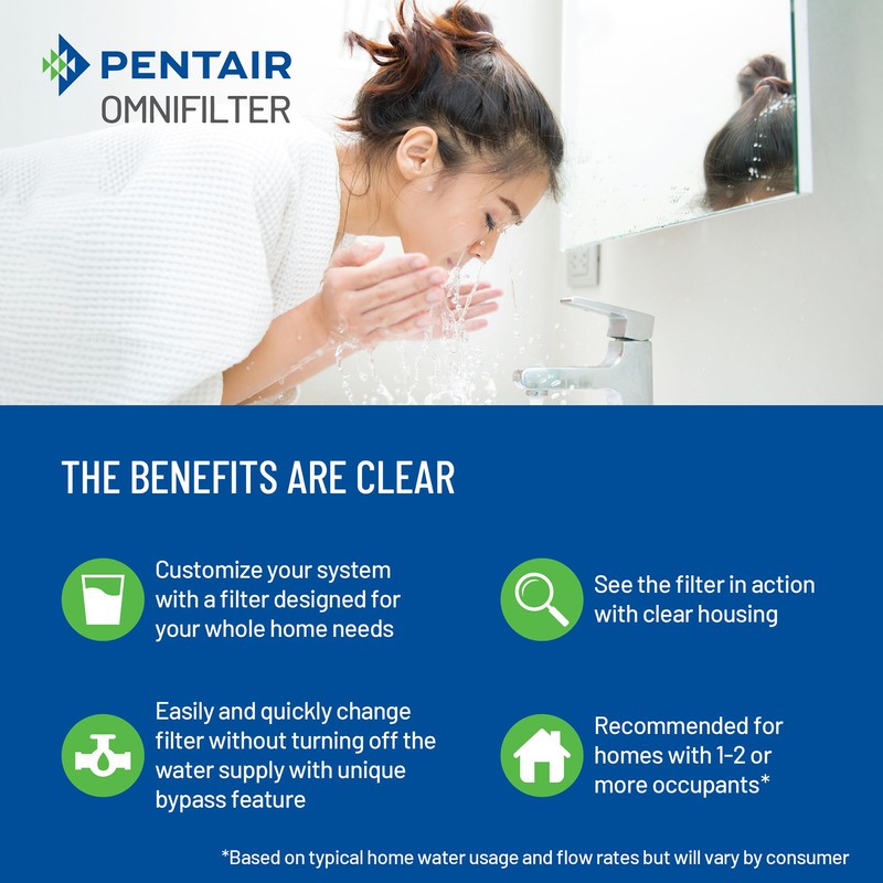 Pentair OMNIFilter Whole Home Valve-in-Head 10" Standard Duty Water Filtration