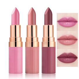 CAKAILA 3 Pcs Nude Lipstick Matte Sets,Light to Dark Velvet Lipstick for Women Long Lasting Waterproof 24 Hours Lip Stick Lip Stain Makeup Gift Sets,labiales mate 24 horas originales