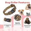 Kazazoo Dog Collar Cute and Soft Nylon Puppy Collar for