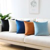 Artscope Luxury Velvet Pillow Covers Super Soft Decorative Square Throw