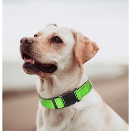 Medium Dog Collar, Reflective Pet Collar with Buckle Adjustable Safety Nylon Collars for Small Medium Large Dogs, Green