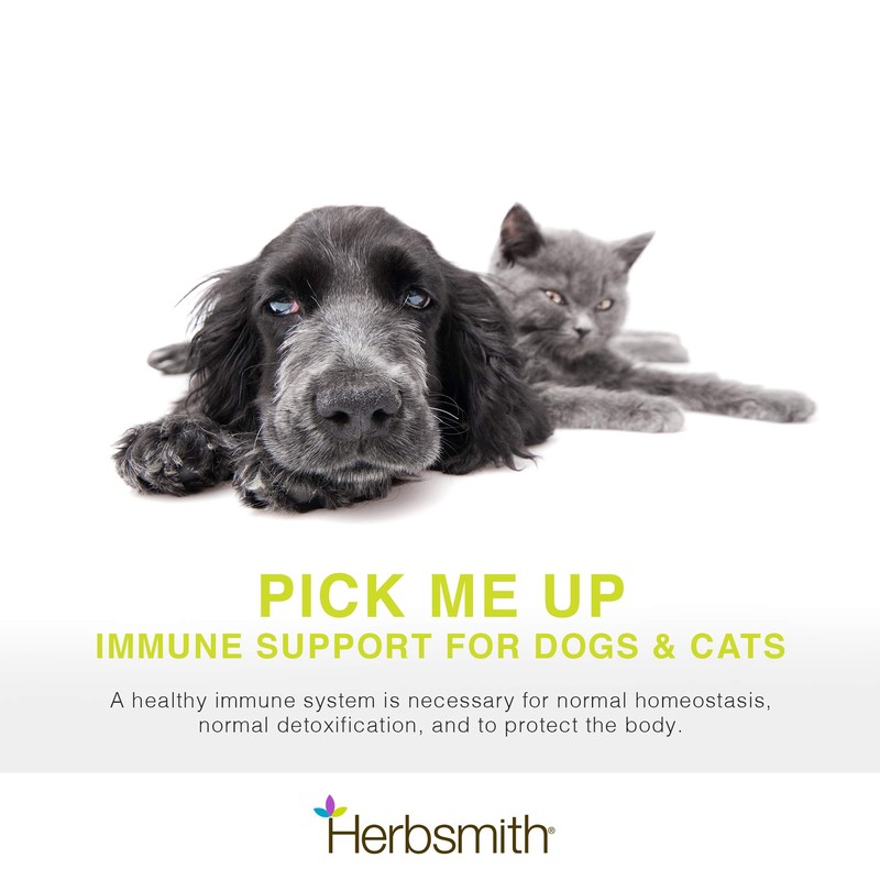 Herbsmith Herbsmith, Immune Support - 75g Powder