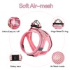 Dog Harness for Small Dogs and Leash Set, Honeycomb Grid,