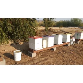 Honey, 2oz Variety, Sample Six Pack by Honey Hive Farms. Award winning honey !!