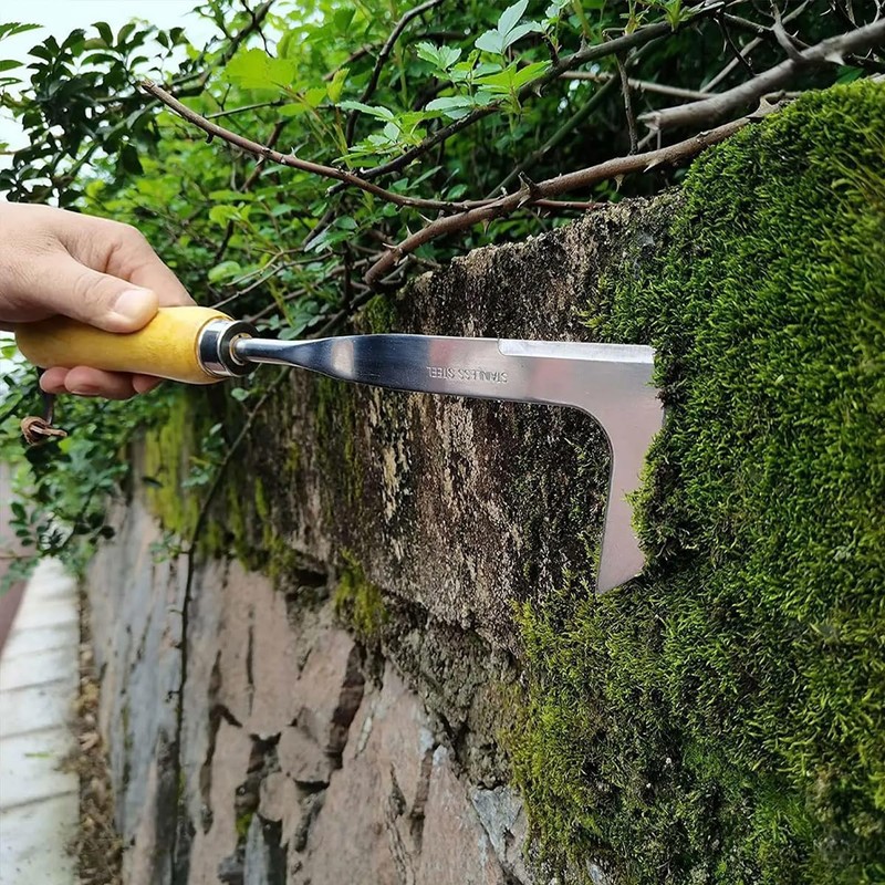 AIMALL Stainless Steel Weeder Tool with Wooden Handle, Lightweight Garden