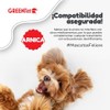 Greenvet Arnica