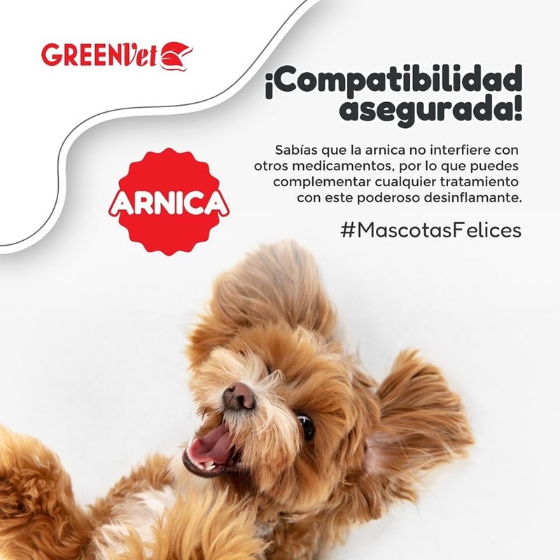 Greenvet Arnica