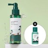 Round Lab Pine Soothing Cica Scalp Tonic 100ml Special (+Shampoo