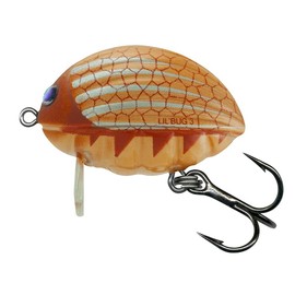 Salmo Lure BG2