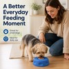 Slow Feeder Dog Bowl for Wet Food - Non-Slip Ball-Shaped
