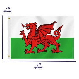 2×3 FT Welsh Flag,Medium 60×90 CM Cambrian Outdoor Banner,100D Decor,Doube Side Printing For Patio Garden With Brass Gromment