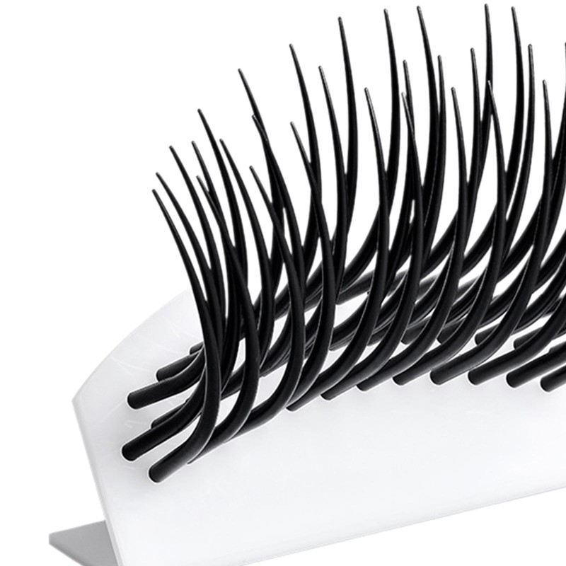 Ｂｅｓｇａ Eyelash Teaching Model Display Model Portable Auxiliary Tool Multifunction