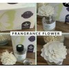 Scentsy Fragrance Flower New In Box Jammy Time