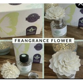 Scentsy Fragrance Flower New In Box Jammy Time