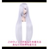CaseEden 6129 Premium Cosplay Wig, Smooth, Long, Straight 39.4 inches