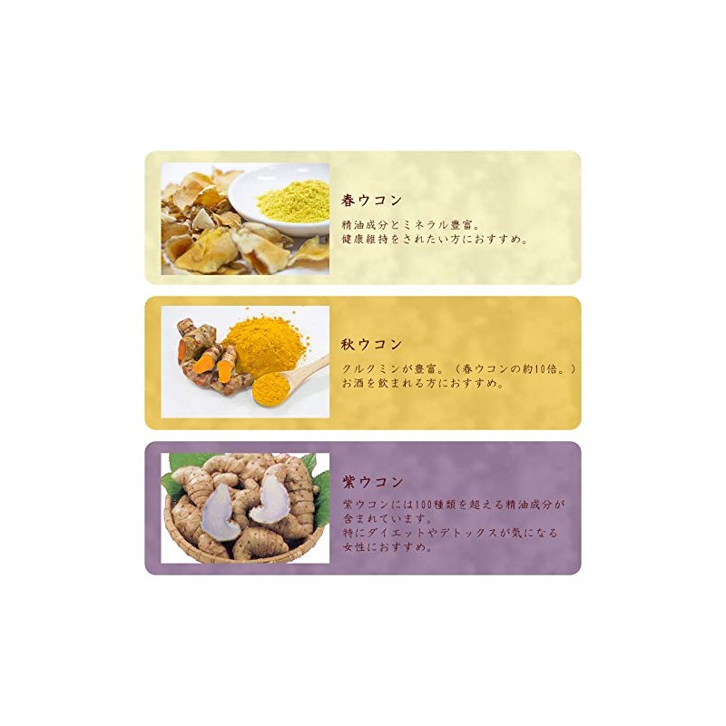 沖縄県産 琉球ウコン粒100ｇ(1瓶)