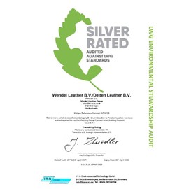 FRONHOFER Slim Belt Women's Gold-Plated Buckle 2.2 cm Women's Belt Horseshoe Buckle Gold 17875, black