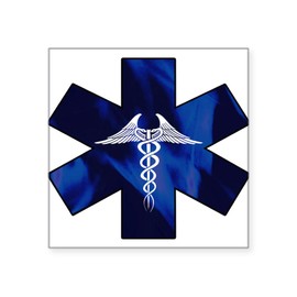CafePress EMS Sticker Square Bumper Sticker Car Decal