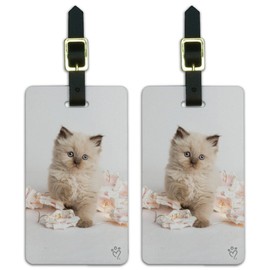 Miradoll Ragdoll Cat Kitten Flowers Luggage ID Tags Carry-On Cards - Set of 2