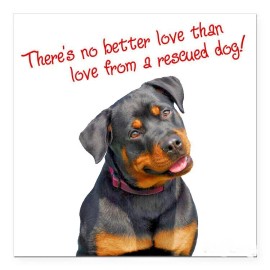 Fashion Jewelry DOG RESCUE ROTTWEILER Pendant 925 Silver 22" Chain Necklace Ladies Women Men