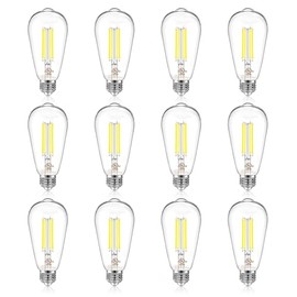 DAYBETTER 12 Pack Vintage LED Edison Bulbs, E26 Led Bulb 60W Equivalent, Dimmable Led Light Bulbs, High Brightness 600 LM Daylight White 5000K, ST58 Antique Filament Bulbs, Clear Glass Style for Home
