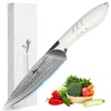 MAD SHARK 5 Inch Ultra Sharp Fruit Knife, Damascus Steel,