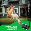BlueStars 291337001 Ignition Coil with Spark Plug - Compatible with