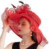 Women Elegant Organza Derby Hat Wide Brim Sun Hats for