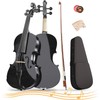 4/4 Beginner Violin Kit for Adults, Complete Full Size Violin