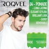 ROQVEL PROFESSIONAL Aqua Hair Styling Wax 04 Green 150ml