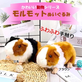 MIMIA Guinea Pig Morumore Plush Toy, Present, Small Animals, Fluffy, Large, Cute, Realistic, Children, Pets, Rats, Mouse, Sheeting Mats, Animal Doll (Guinea Pig)