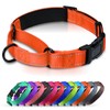 Erbine Neoprene Padded Martingale Collar for Dogs, Reflective Soft Nylon