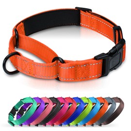 Erbine Neoprene Padded Martingale Collar for Dogs, Reflective Soft Nylon with Quick Release Buckle, Adjustable Dog Martingale Collars for Training & Daily Use (Orange,M)