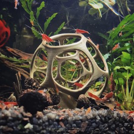 byMazy Maze Shrimp Hide | Shrimp Protector & Swim-Through Hideout – Aquarium Plant Holder & Fish Tank Decor with Suction Cup (Bronze, Regular)