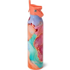 Swig Life 20oz Insulated Water Bottle, Travel Water Bottle with Straw and Lid, Cup Holder Friendly, Stainless Steel (Dreamsicle)
