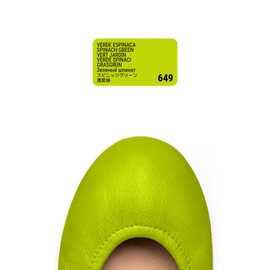 Tarrago Quick Color Dye Leather and Canvas Repair - 25 ml Leather Shoe Dye for Dyeing of Leather Footwear, Bags, Shoes, Jackets, Purses & More - Spinach Green #649