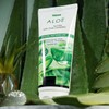 RTPIA 촉촉 보송보송하게 오레가노잎 알로에 클렌징폼 180ml Moisturizing and Refreshing Oregano Leaf Aloe Cleansing Foam 180ml