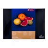 Rembrandt Soft Pastel 120 Half Stick General Set