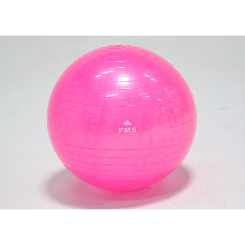 FIMISU 65cm Fitness Stability Ball • Yoga Balance Ball •