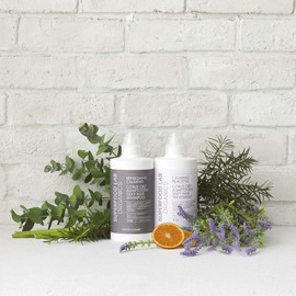 Superfood Lab Organics Treatment S, 15.9 oz (450 g)