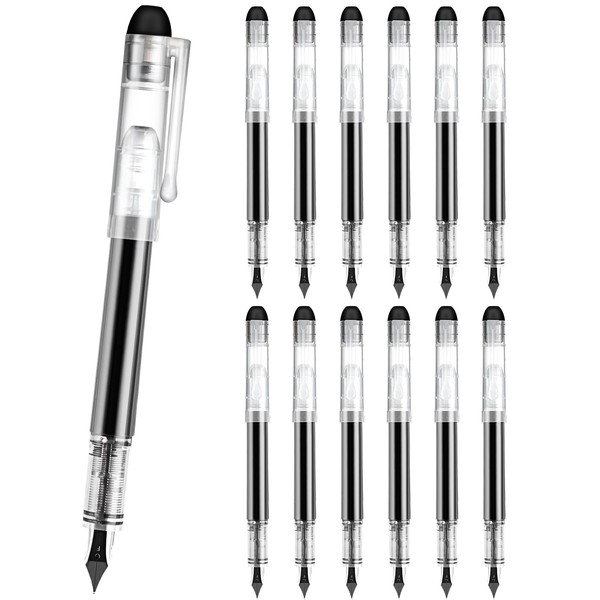 Disposable Fountain Pens for Writing - Fine Point Nib, Pack