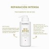 Goldwell Dualsenses Rich Repair 60sec Treatment 500ml