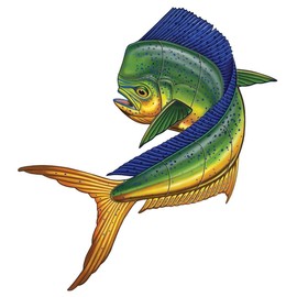 Mahi Mahi Up Porcelain Swimming Pool Mosaic (14" x 13")
