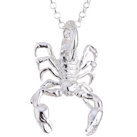 Vinani ASC-T Women's Pendant with Chain – Scorpion Pendant Shiny with Pea Chain – 925 Sterling Silver – for Men and Women – Charms, Sterling Silver