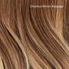Hair Color Sample Swatch Bundle - Light Brown