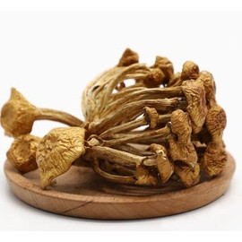 Dry Slippery Mushrooms, Dried Fungus dried pholiota nameko slider mushroom, Pholiota microspora, 170g