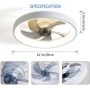 Ricodo 20" Modern Fan Lights Flush Mount LED Ceiling Light