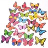 Large Decorative Magnetic butterflies (12 assorted)